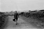 1954