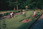 1964