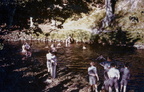 1951